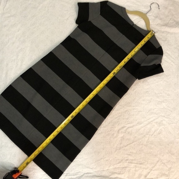 ANN Taylor Loft Thick Stripe Short Sleeve Knee Length Heavy Shift Dress - Picture 7 of 10